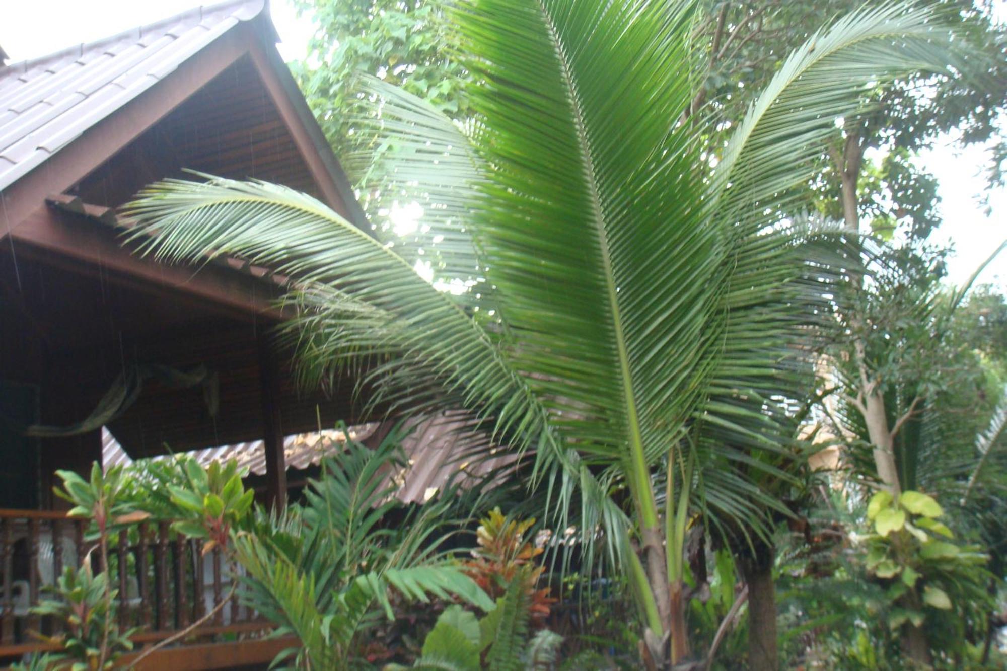 Silver Sands Resort - Koh Tao Ko Tao Exterior foto