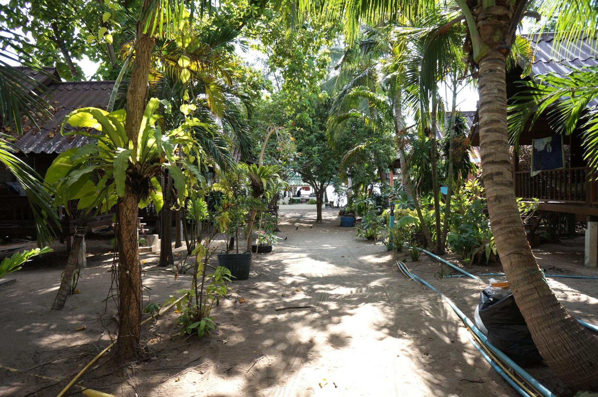 Silver Sands Resort - Koh Tao Ko Tao Exterior foto
